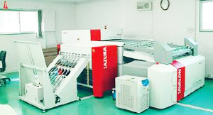 Caligraving Plant List